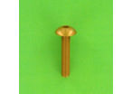 Hex Socket Screws : Hex Socket Button Head - Aluminium - Blister pack of 8 Hex Socket Large Round Head Screws, P60 OA Aluminium, Gold
