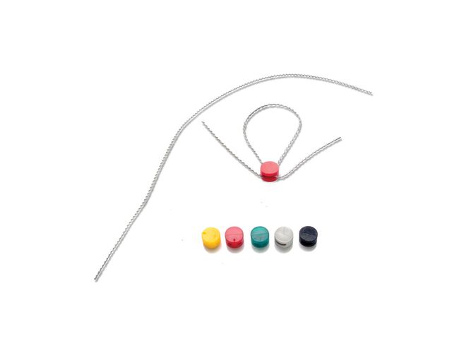 Colored Plastic Lead Seal