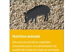 ARBOCEL, vegetal fibre for animal nutrition