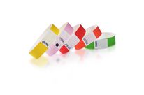 Blank Tyvek Security Wristband