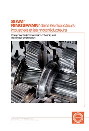 Catalogue RINGSPANN  in Industrial Gears and Geared Motors