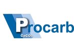 Calcium carbonate slurry : Procarb®