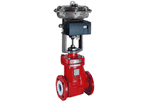 Bellows sealed control valves : RSS