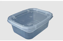 Rectangular injected plastic packaging for any kind of food. 