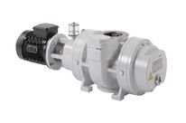 Roots vacuum pump - Okta 500 series