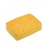 Sponges