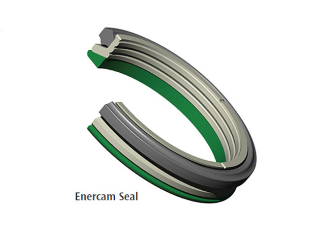 Enercam Seal