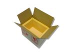 Isothermal cardboard box with XPS insulation 170 x 110 x 120