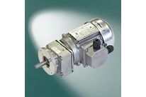 Gear motor SG-80/M50L4/61:1