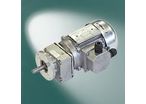 Gear motor SG-80/M50L4/61:1