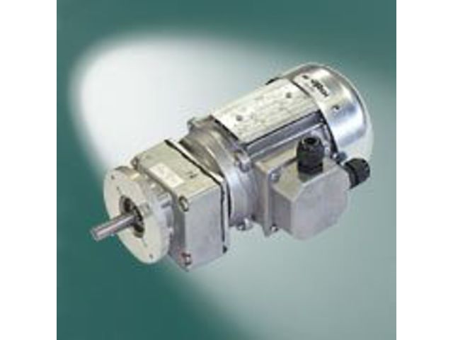 Gear motor SG-80/M50L4/61:1
