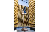 Elevah E5 Inox Picking