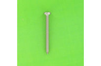 Sheet Metal Screws : Large Round Button Head, Torx - Torx Pan Button Head Sheet Metal Screw, White Zinc Steel, ISO 14585C