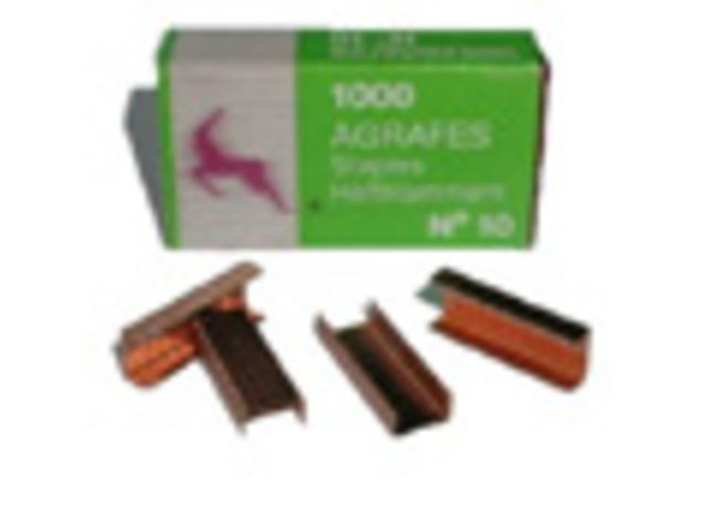 No10 Coppered Staples - Box of 1000 Staples : AgN101M