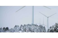 Icing and structural damage detectors for rotor blades SHM/IDD.Blade