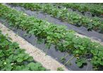Mulching film range for vegetable crops