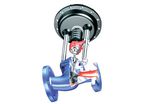 Control valve : ARI-STEVI 405