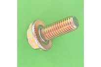 Hex Head Screws : Hex Head Lock Screws - Hex Head With Toothed Flange - Hex Head, Toothed Flange, Yellow Zinc 8.8 Steel, DIN 6923