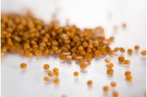 BIOMERE® - CERTIFIED BIODEGRADABLE WAXES