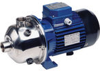 ST2-ST4: Stainless steel monobloc threaded multistage pumps