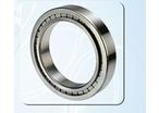 Full complement cylindrical roller bearing : ART.4345