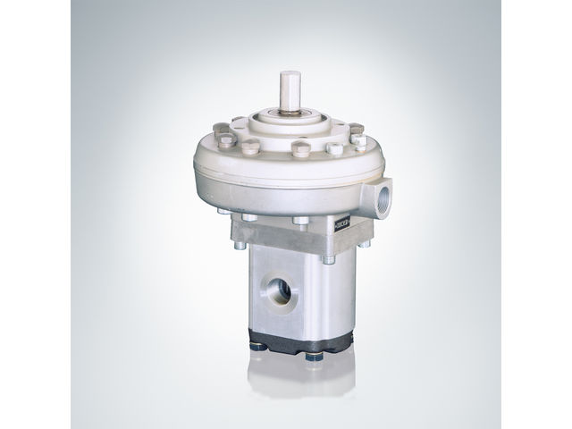 Dual stage pump type RZ