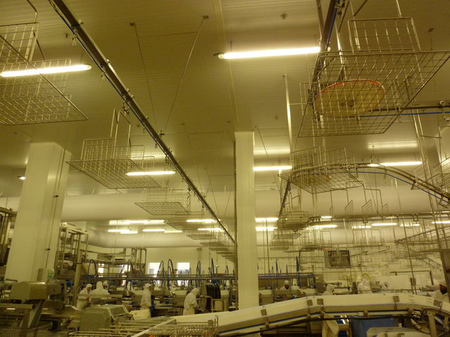 OVERHEAD CONVEYOR - CALYPSO SYSTEM