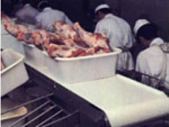 Food conveyor belt CLINA SERIES